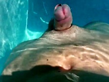 Swimming Pool Masturbation Hands Free Orgasm