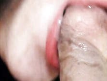 Punjab Punjab Barely Legal Gf Oral Sex- Oral Jizzed