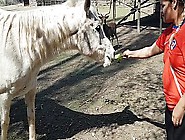 I Was Excited To See The Size Of A Horse's Penis !!! I Wanted My Boyfriend To Focus Like This !!! Paty Butt,  El Toro De Oro