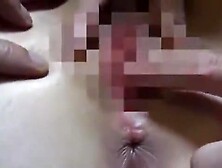 01166, A bitch is fully exposed during sex!