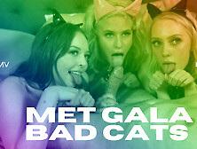 Met Gala Bad Cats - Vr Porn Pmv By Private Jet - Privatejet