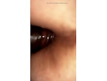 This babe let me cum in her vagina