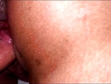 cheating neighborhood whore get bound and screwed when her spouse is away