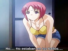 anima: Anal,  Onlyfans & Asian Porn