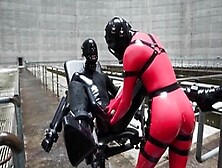 Femdom Fetish Bitches Use Bdsm