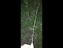 Piss In Ex Gf's Yard