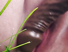 BBW Fucking outside with 9in Black Dildo