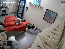 IPCAM - Big Tits Arab Woman In Her Room. mp4