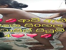 Sri Lankan Big Ass Big Boobs Hard Fuck Sex