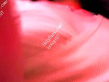 Kitty walking on the street