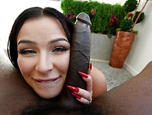 Hd Pov Video Of Ravishing Diamond Sucking A Big Black Dick