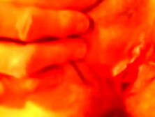 Hairiest Babe's Ass Fucked in Hardcore Action