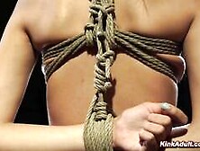 Tied Up Babe Harmony Wonder Bare Feet Tazappered By Master The Pope