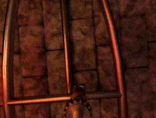 For Those About to Roast