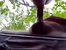 Daddy Bear Sucks in the Park