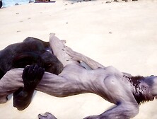 Sleazy Life / Rasha Furry Wolf Bitch at the Beach