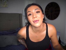 Sloansmoans - The Birds And The Bees