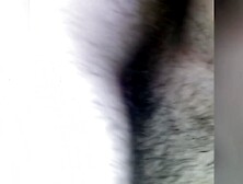 Wet teen pussy gets cummed on by big white dick