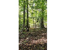 big beautiful woman mother i'd like to fuck Public forest flashing petite bazookas and chubby snatch