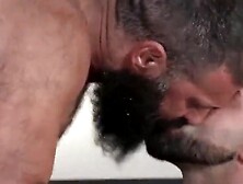 Bearded Man Is Being Dominated By His Two Muscled Partners