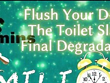 Shamestream: Flush Your Dignity - The Toilet Slave's Final Degradation