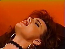 Foxy Pimpstress' Dyke Bordello