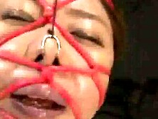 Surrendering to DesireSummers Sweetest Slave