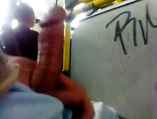 Bus Cock Flasher Cums