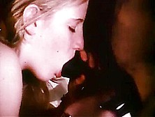 Sex In America,  3 (vintage)