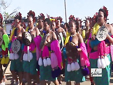 Topless South African Maidens At Reed Dance