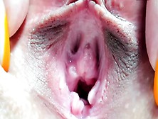 Amateur Close Up Blowjob And Facial