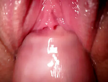 Blowjob,  Extremely Close Up Fuck and Cumshot on Pussy