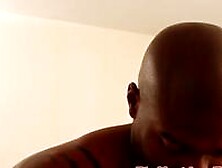 Dark Chocolate Hunk Assfucking Brownie Stud