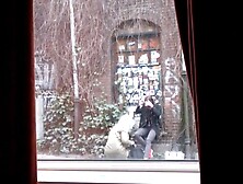 Bold Cocks shown with Pride