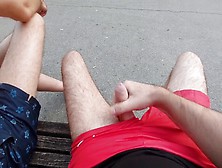 Chilling In Park With A New Pal (Some Masturbating,  Peeing,  Flashing)