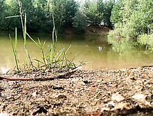 Slow Motion Jumping In Lake In Clothes.  Wet And Fun