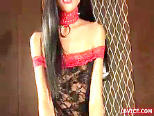 Asian Shemale,  Nubile Ladyboy