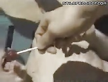 Lollipop Ass To Mouth Fun