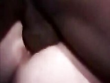Big Beautiful Woman Cuckold Couples In Bbc Breeding Session