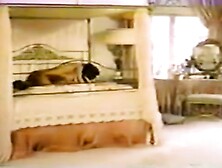 Old-fashioned Interracial - Desiree Western side & Ruben Holmes