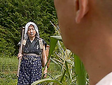 Captivating Matured Asian Dame Getting Smashed Hardcore In Corn Plantation