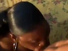 Lola Lane Big Natural Black Tits