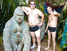 Speedos do the trick!