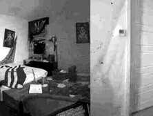 Escape from Zombies with a Halloween Trans Trio