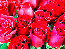 Bangladeshi auntie tells her steamy story with a touch of desi flavor