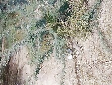 Bridge nichey chudayi outdoor village sex