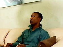 Cougar Likes It Ebony - VOL. #04