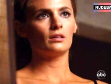 Stana Katic Examining Self – Castle