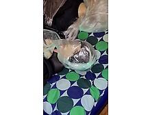 I enjoy strangling the bitch