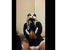 Nigger panda ud83dudc3c